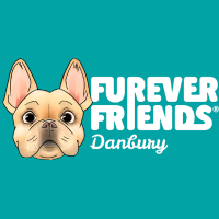 Furever Friends Danbury